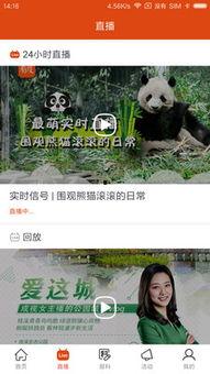 新闻爆料在哪里看啊视频,如何轻松观看“在哪里看啊视频” 第1张 新闻爆料在哪里看啊视频,如何轻松观看“在哪里看啊视频” 第1张